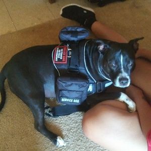 Meet your Posher, Jasmine